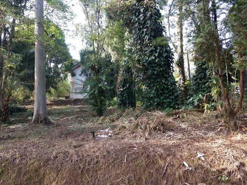 Imagem 4 de 14 de Mini Chácara No Bairro Glória|estuda Permuta| 4.328 M² - Sa00773 - 34103277