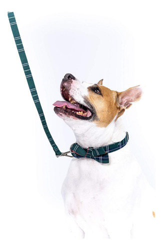 Collar De Perros De Tartán De Tartán Escocés Con Corbata De