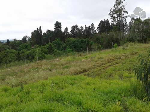 Imagem 8 de 15 de Cod 4008 - Belíssimo Terreno Pronto Para Construir - 4008