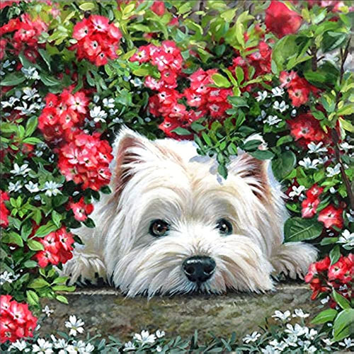 Kaliosy 5d Diamond Painting Dog By Number Kits, Paint With D