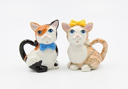 Porcelana Fina Gatos Felices Del Día En El Armario Gatos Sal