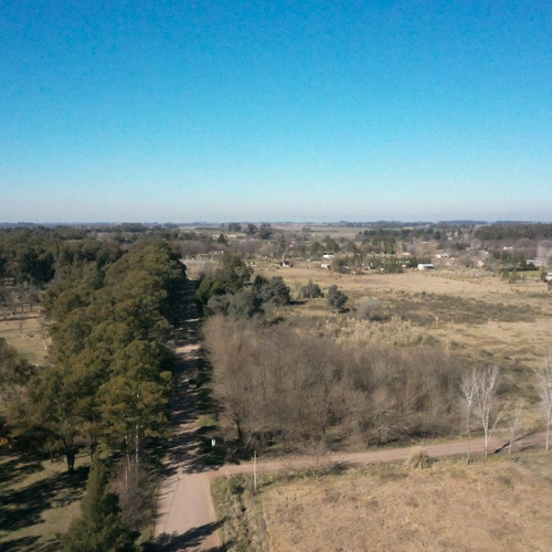 Imagen 7 de 21 de Terreno - Laguna De Lobos