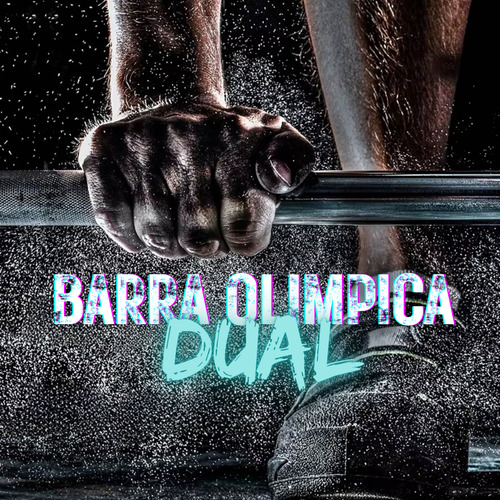 Barra Olimpica Importada 1.50 Mts Profesional Con Rulemanes Plateado