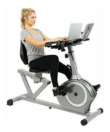 Bicicleta fija Sunny Health & Fitness SF-RBD4703 color gris