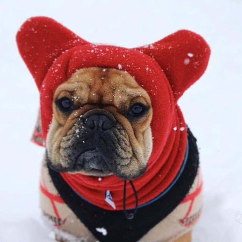 Gorro De Invierno Para Perros Gorro Para Perros Capucha Grue