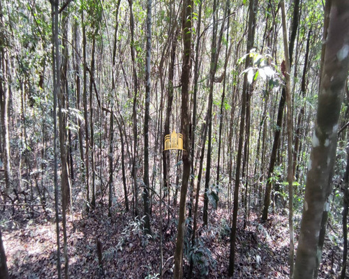 Imagem 4 de 8 de Fazendinha Em Esmeraldas - Te00411 - 70057894
