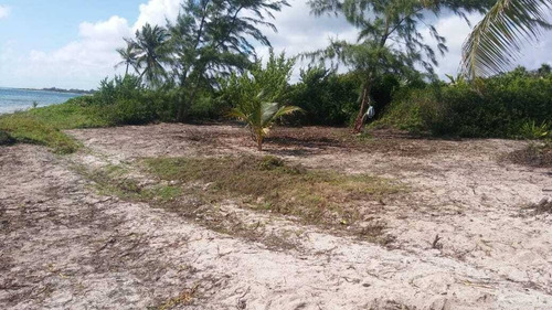 Imagen 1 de 4 de Excelente Terreno Con 20 Metros De Frente De Playa En Mahahual Q. Roo Em01221