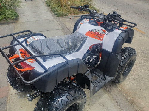 Imagen 2 de 19 de Cuatrimoto Azelli Bull 200cc Automat 0 Klm 2022 Oferta