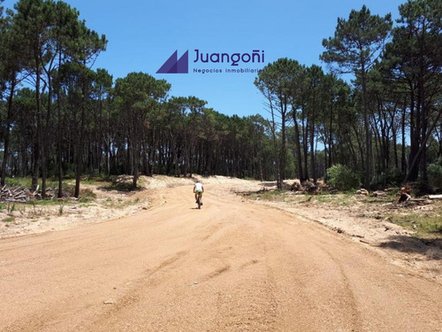Imagen 20 de 30 de Terreno En Venta Con Financiación - 4 Cuadras De La Playa Montoya