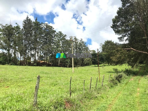 Imagem 5 de 15 de Fazenda - Zona Rural - Ref: 4667 - V-mta4667