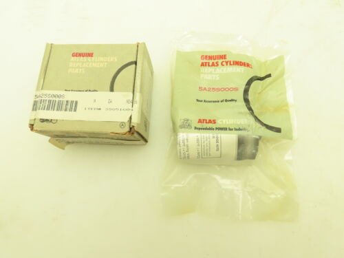 Atlas 5a25s000s Cylinder Cartridge Seal Repair Kit Nbr 2 Ssc