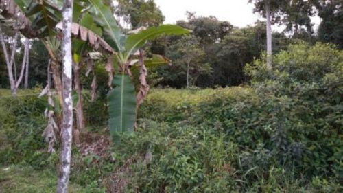 Imagem 2 de 4 de Terreno De Chácara No Parque Vergara, Em Itanhaém, Com 1000 M² De Área Total, Aceita Entrada E Parcelas