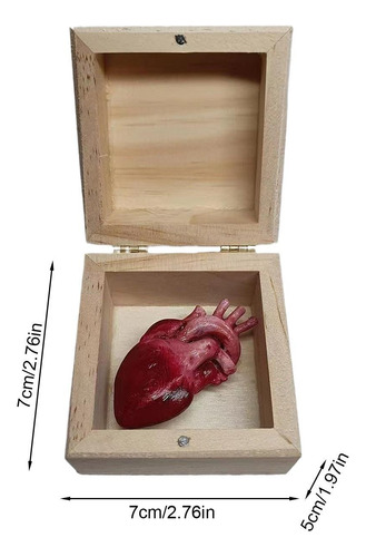 Decoración De Corazón De Órgano Adornos De Corazón Divertido
