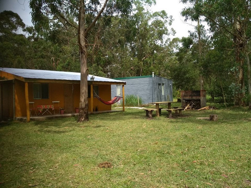 Imagen 3 de 10 de Alquilo Casa En Punta Rubia