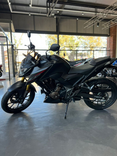 Honda Cb 300 F Twister - Paperino