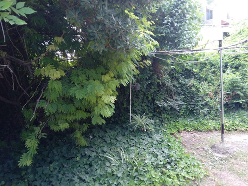 Casa Venta Metros Barrio El Trebol A Refaccionar