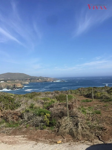 Terreno De 5.250 M2 En Ochoquebradas, Los Vilos