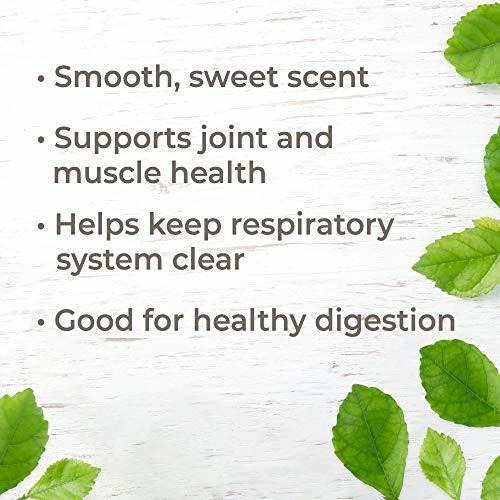 Imagen 2 de 8 de Plant Therapy Copaiba Oleoresin Aceite Esencial Orgánico 10