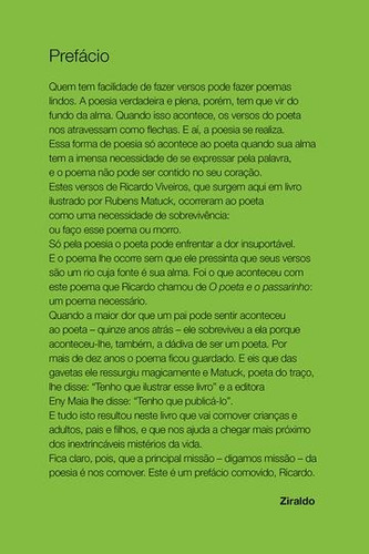 O poeta e o passarinho, de Viveiros, Ricardo. Leituras que fazem pensar Editorial Editora Biruta Ltda., capa dura em português, 2011