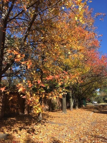 Imagen 14 de 14 de Venta De Lote En San Isidro