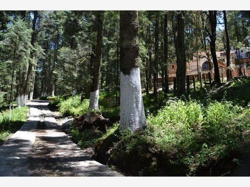 Imagen 4 de 12 de Terreno En Venta Mineral Del Monte Centro