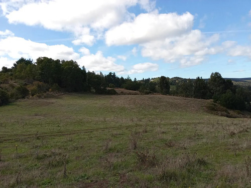 Maravillosa Parcela , Sector Cullinco Alto Carahue