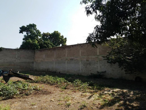 Imagen 5 de 6 de Se Vende Terreno Cercado Guacara Sector Araguita Inf 04244379494