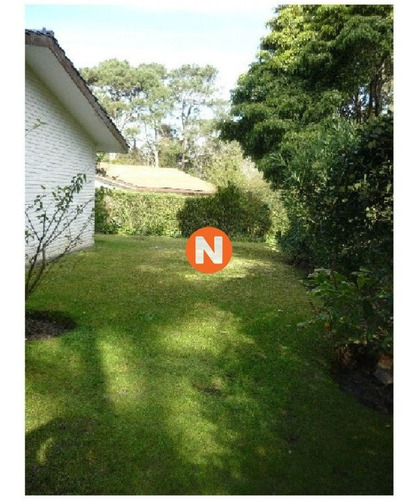 Casa En Venta Y Alquiler, San Rafael, Punta Del Este, 3 Dormitorios.- Ref: 206510