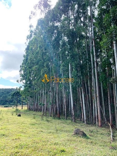 Imagem 6 de 15 de Rural Chacara - 886221-v