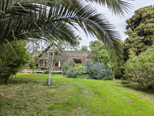 Arriendo Casa Las Gaviotas Concon!