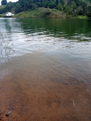 Imagen 5 de 15 de Finca En Venta -lago Calima