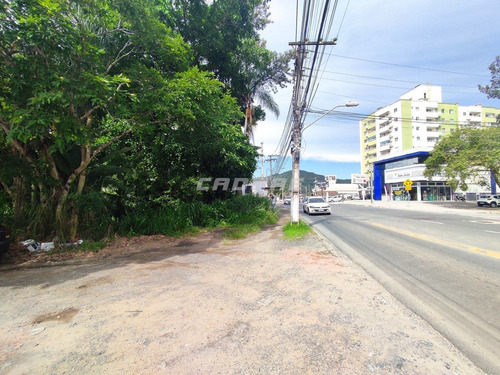 Imagem 6 de 13 de Ótimo Terreno Comercial /residencial No Bairro Velha Central - 3052462v