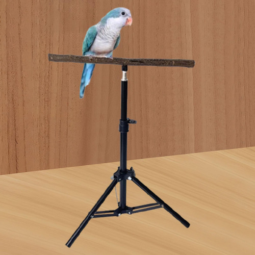 Percha De Madera Para Loros, Trípode Para Loros,