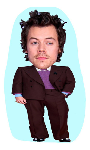 Mini Cojin Harry Styles Chiquito - Cojin Decorativo