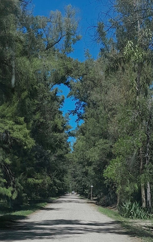 Venta De Terreno En El Barrio Los Bosquecitos