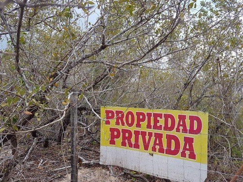 Imagen 1 de 3 de Terreno En Holbox