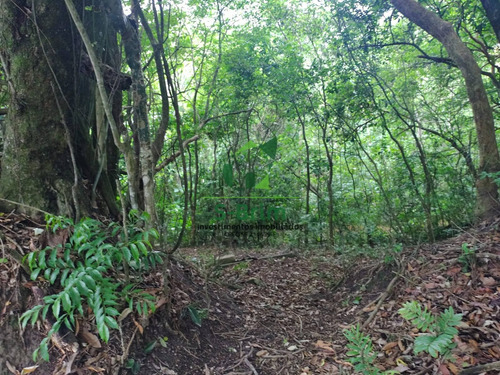 Imagem 8 de 10 de Terreno 499m Localizado Na Av. Santana - Região Nobre - 239
