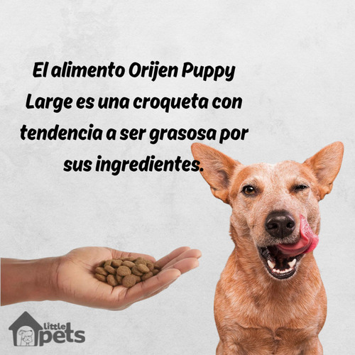 Orijen Puppy Large 11.3kg