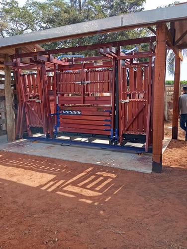 Tronco De Contenção Bovino Completo Com Balança