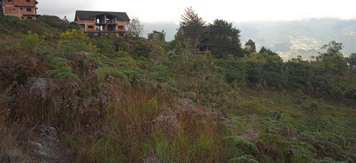 Terreno En El Sector Potrero Perdido