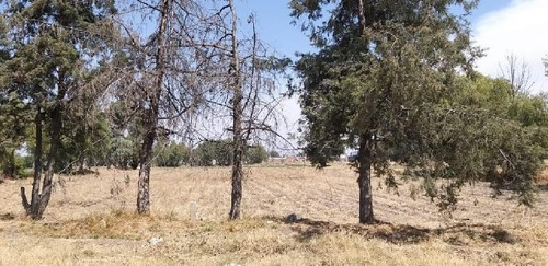 Imagen 5 de 8 de Terreno Urbano En Venta En San Diego / Texcoco (méxico)