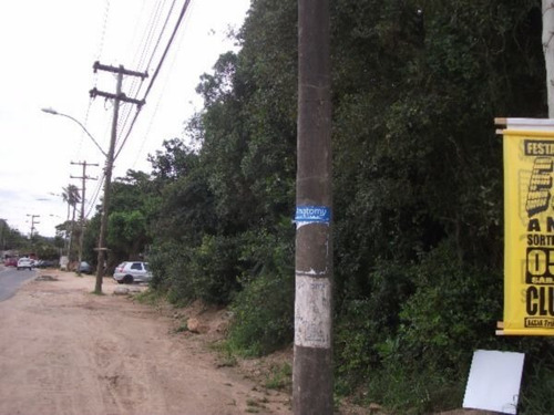 Terreno Em Aberta Dos Morros - Mi15778