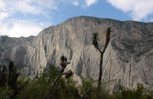 Imagen 5 de 18 de Terreno En Venta En La Huasteca Km 8.5