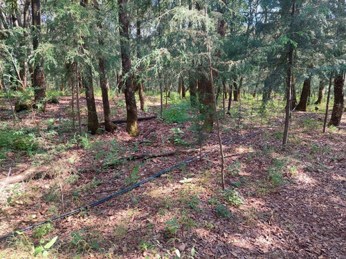 Terreno En Jilotzingo