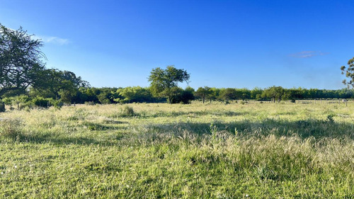 Lote De 1 Hectarea En San José Barrio Perucho