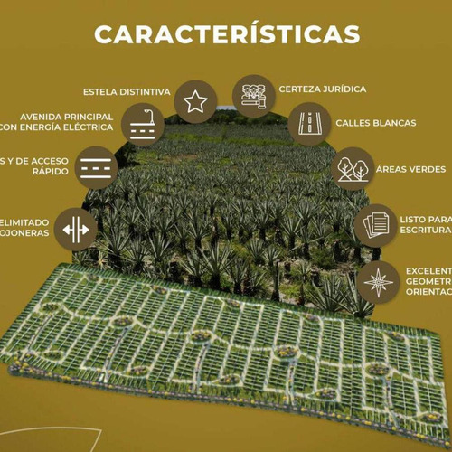 Lote En Venta, Hunucmá, Yucatán, Mt 24-2026