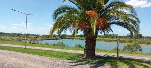 Imagen 4 de 5 de Lote En Venta En Los Juncos