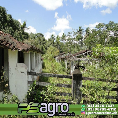Imagem 14 de 18 de ( Oportunidade )fazenda Na Região De Pedras De Fogo, C/ 80ha - Fa0077