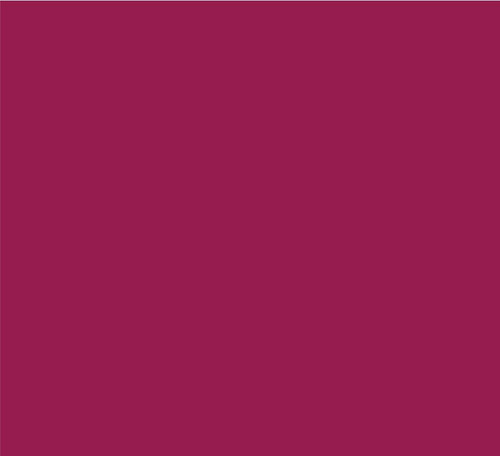 Cyzone Labial Liquido Studio Look Crystal Wine