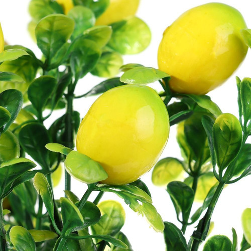 Rama De Limón-